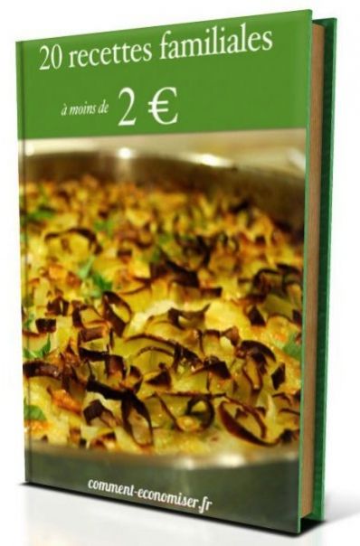 Libro de cocina gratis descarga 20 recetas familiares por menos de 2 euros