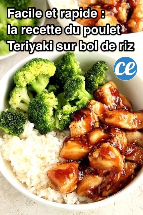 Receta japonesa de pollo teriyaki en un tazón de arroz con brócoli