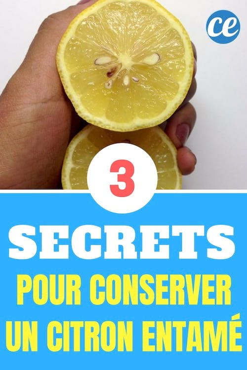 3 نصائح لتخزين حبة ليمون مفتوحة