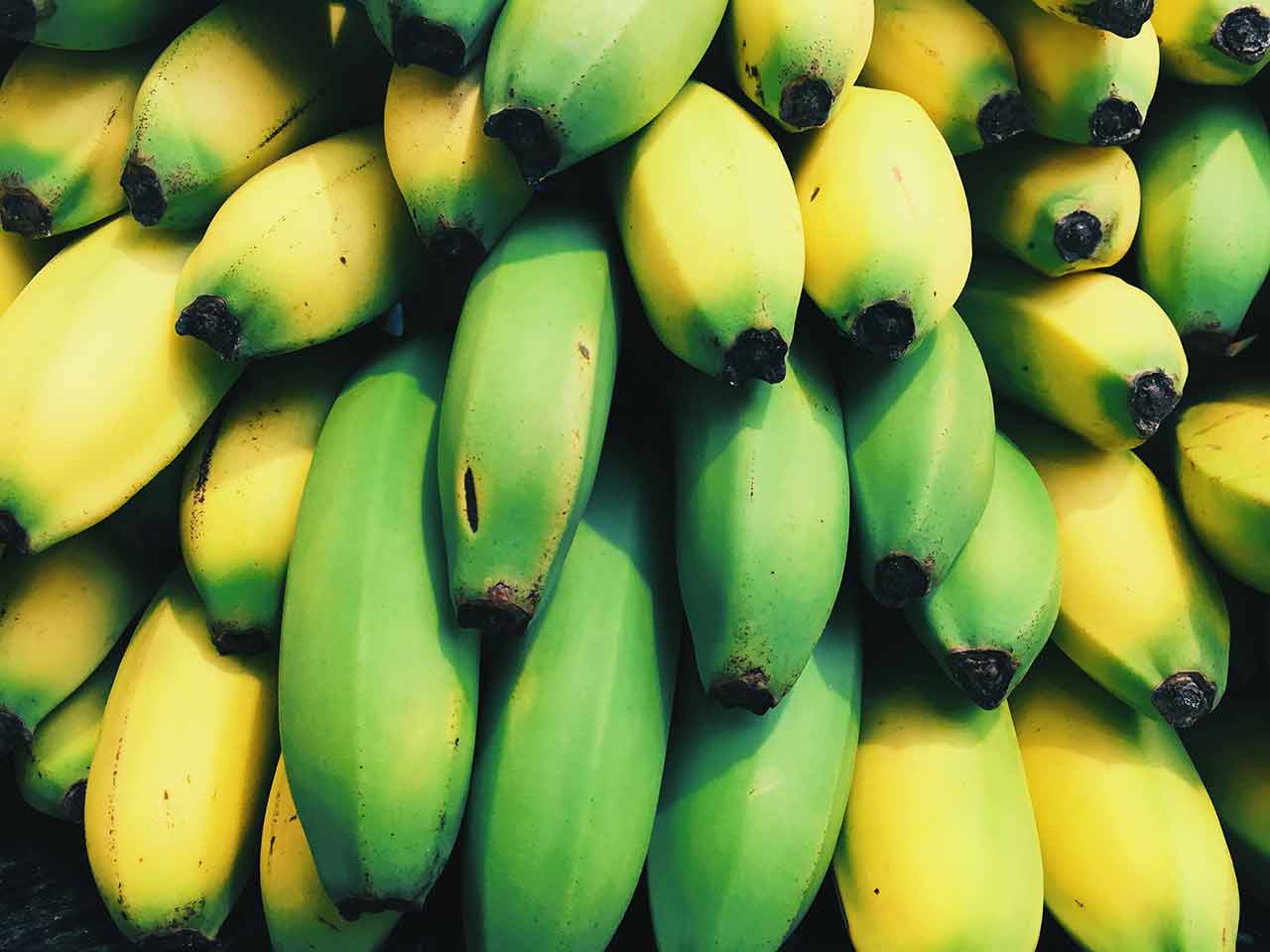 Banaanide säilitamine: kuidas neid kauem säilitada?