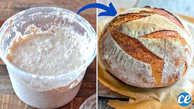 Cómo hacer levadura casera para hacer pan