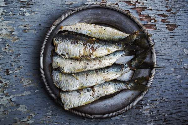 sardinas a la plancha presentadas en un plato