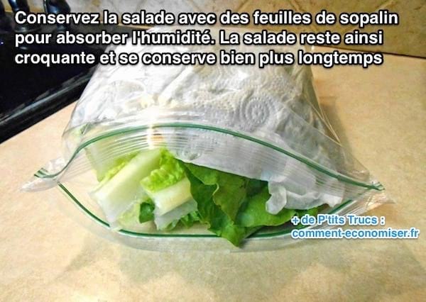 consejo para mantener la ensalada en el frigorífico durante más tiempo