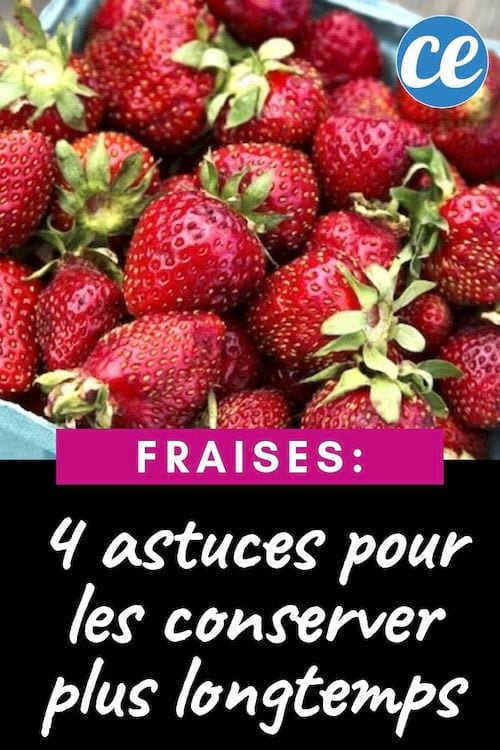 Πώς να αποθηκεύσετε τις φράουλες περισσότερο; Οι 4 φυσικές και αποτελεσματικές συμβουλές μας