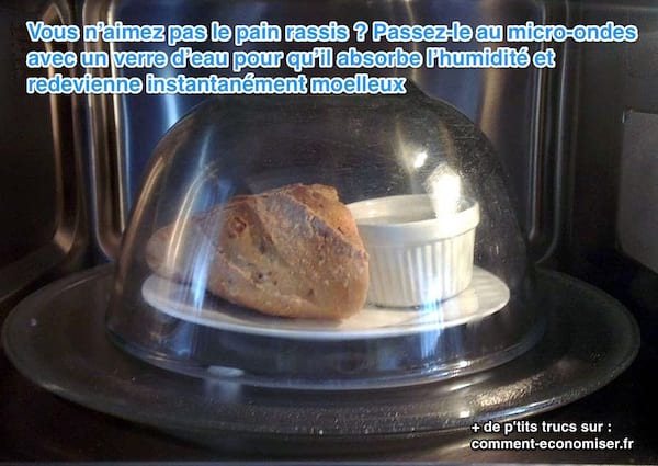 pan duro puesto en microondas