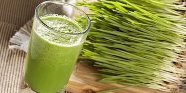 Descobriu els gàrgares amb suc d'herba de blat per curar el vostre mal de coll.