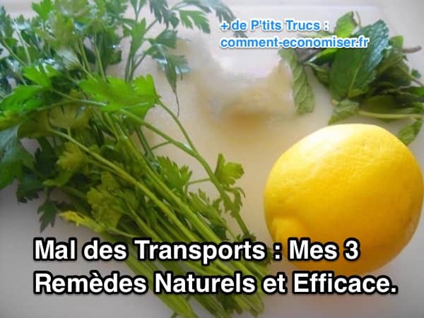 persille, citron og mynte er effektive naturlige midler til at lindre køresyge