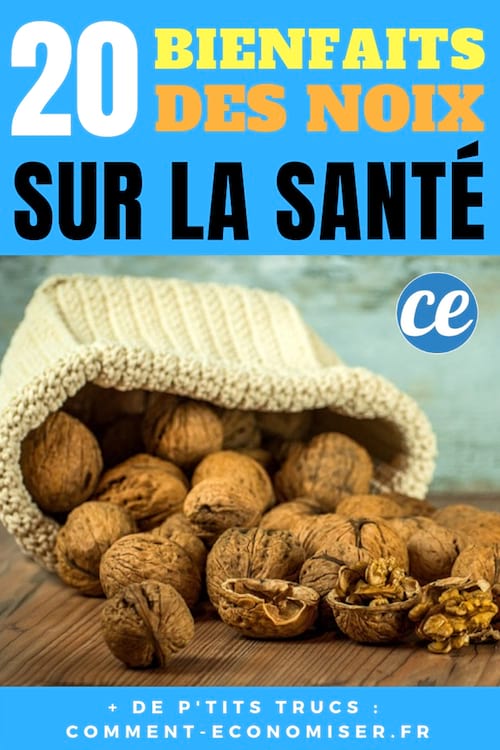 20 kasu pähklitest tervisele, ilule, juustele ja kaalule.