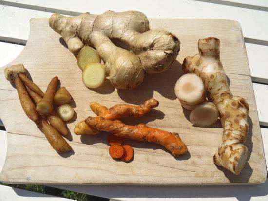 ginger to boost libido