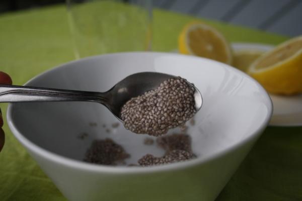 Las semillas de chía son una fuente de proteína vegetal