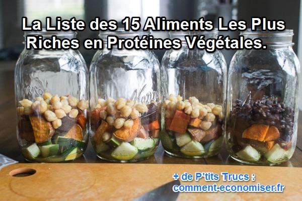 alimentos que contienen mucha proteína vegetal