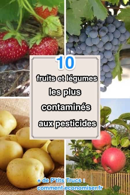 lista de las 10 frutas y verduras más contaminadas