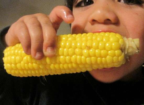 peligro para la salud del maíz