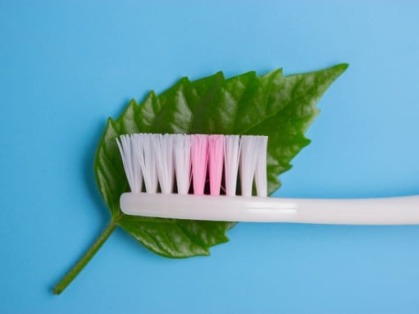 Un cepillo de dientes descansando sobre una hoja verde