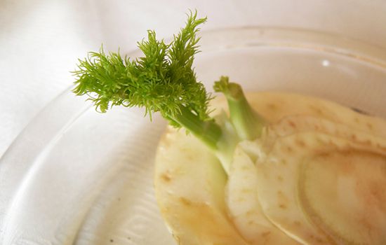 grow fennel at home