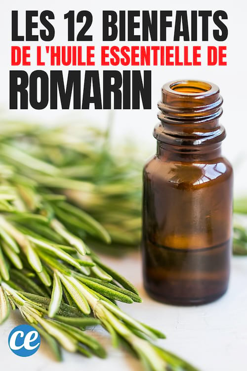 Aceite esencial de romero: 12 beneficios científicamente probados.
