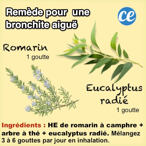 El remedio de aceite esencial para curar rápidamente la bronquitis aguda