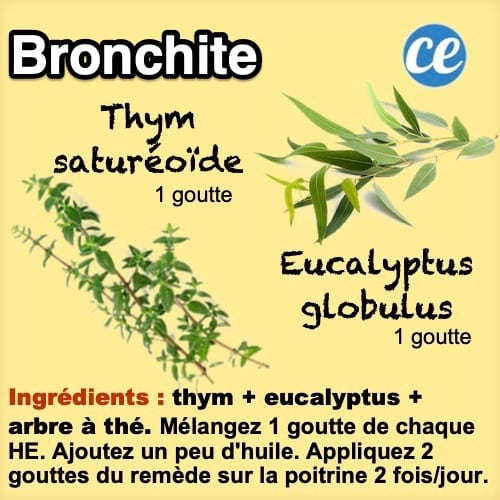 Para la bronquitis, utilice un remedio elaborado con aceite esencial de tomillo, eucalipto y árbol del té.
