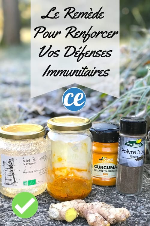 La receta del fortificante natural para estimular las defensas inmunológicas en invierno