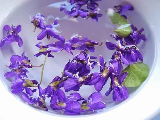 Receta de té de hierbas violetas para calmar la tos