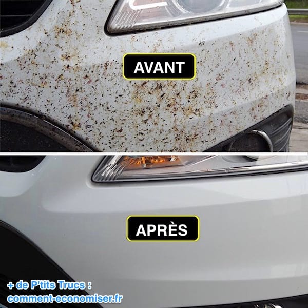 Kasutage autole kinni jäänud putukate puhastamiseks valget äädikat