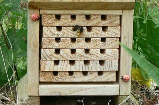 Hacer un nido de abejas
